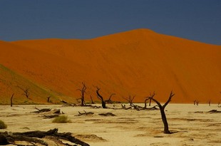 410 Namibia Okt 2006 .JPG